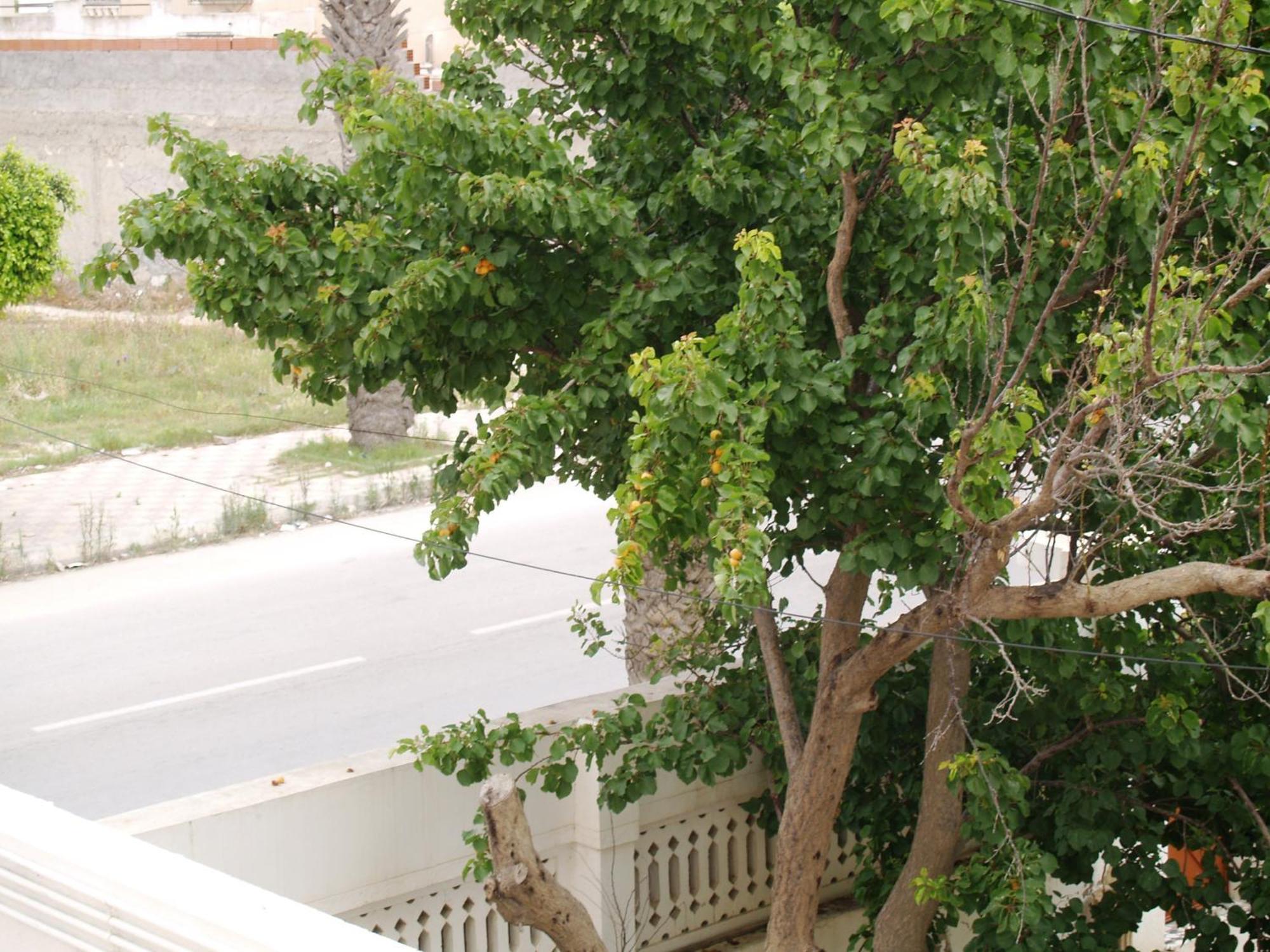 Dar El Amen Appartements 마흐디아 객실 사진